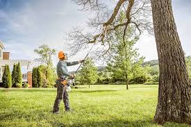 How Our Tree Care Process Works  in  Mckinleyville, CA